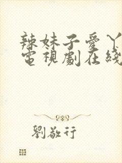 辣妹子爱丫爱丫电视剧在线播放