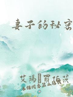 妻子的秘密日剧