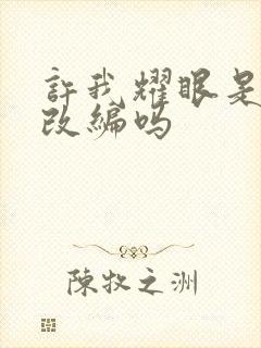 许我耀眼是小说改编吗