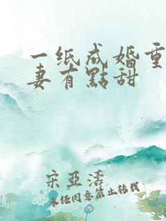 一纸成婚重生娇妻有点甜