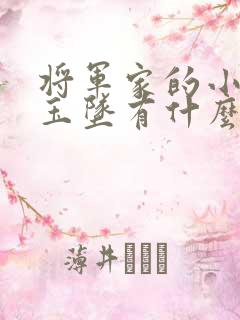 将军家的小娘子玉坠有什么秘密