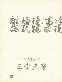 离婚后,高冷女总裁跪求复婚