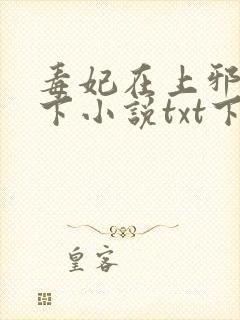 毒妃在上邪王在下小说txt下载