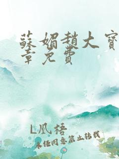 苏媚赵大宝第六章免费