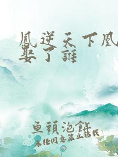 凤逆天下凰战野娶了谁