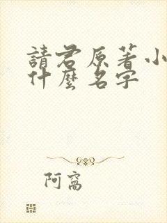 请君原著小说叫什么名字