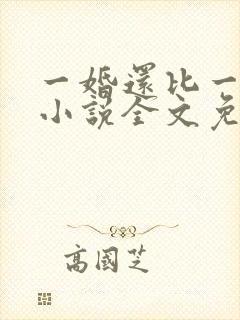 一婚还比一婚高小说全文免费阅读