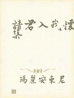 请君入我怀24集