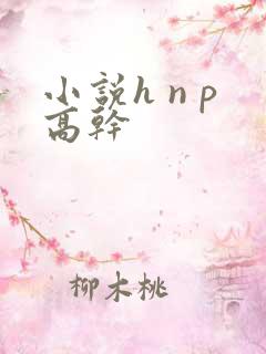 小说h n p高干