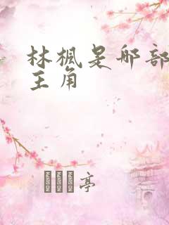 林枫是哪部小说主角