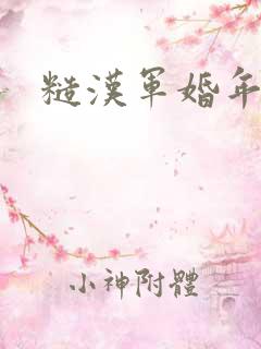 糙汉军婚年代文