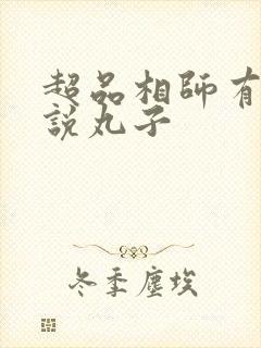 超品相师有声小说丸子