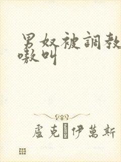 男奴被调教的嗷嗷叫