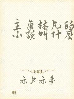 主角林凡的穿越小说叫什么