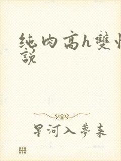 纯肉高h双性小说