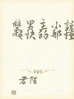 双男主小说车速超快的那种