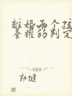 离婚两个孩子抚养权的判定标准