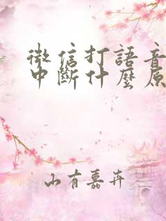 微信打语音通话中断什么原因