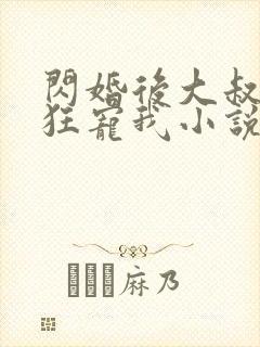 闪婚后大叔每天狂宠我小说