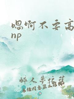 嗯啊不要高h np