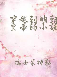 穿越到明朝崇祯皇帝的小说