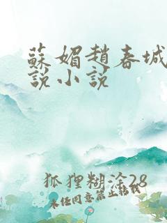 苏媚赵春城的小说小说