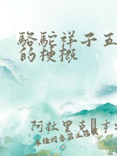 骆驼祥子五六章的梗概