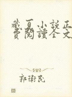 藏夏小说正版免费阅读全文无弹窗