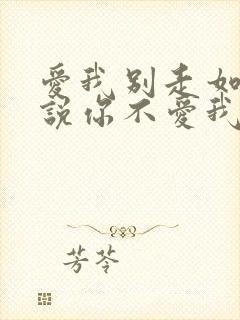 爱我别走如果你说你不爱我什么歌