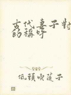 古代妻子对丈夫的称呼