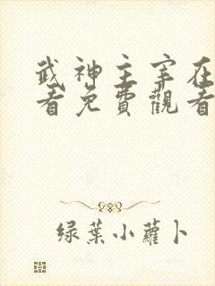 武神主宰在线观看免费观看