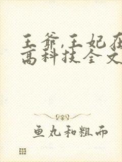 王爷,王妃在玩高科技全文免费阅读
