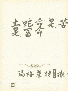 土蛇命是苦命还是富命