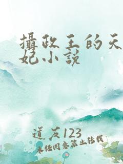 摄政王的天命医妃小说