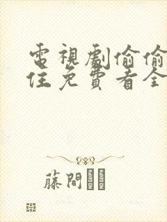 电视剧偷偷藏不住免费看全集