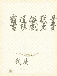 霸道总裁爱上我电视剧免费观看全集