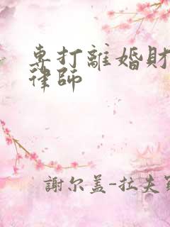 专打离婚财产的律师