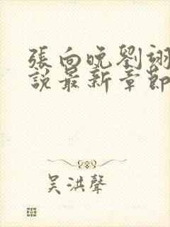 张向晚刘翊京小说最新章节更新时间