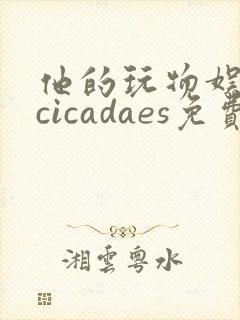 他的玩物娱乐圈cicadaes免费阅读小说