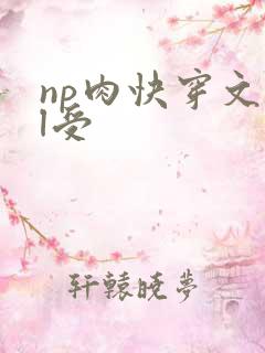 np肉快穿文bl受