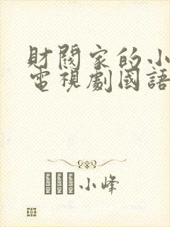 财阀家的小儿子电视剧国语免费观看