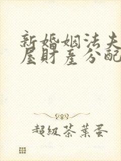 新婚姻法夫妻房屋财产分配