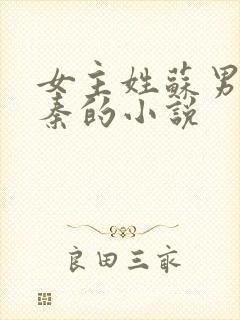 女主姓苏男主姓秦的小说