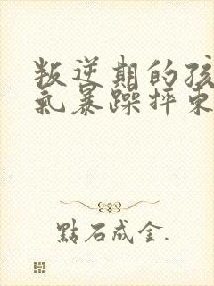 叛逆期的孩子脾气暴躁摔东西