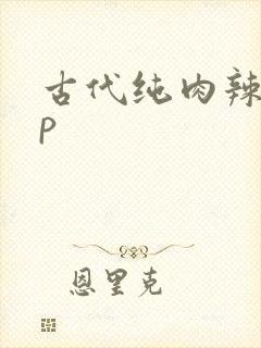 古代纯肉辣文np