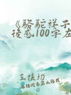 《骆驼祥子》读后感100字左右