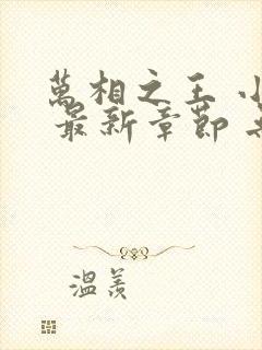 万相之王 小说 最新章节 无弹窗