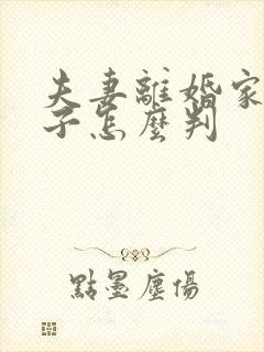 夫妻离婚家暴孩子怎么判