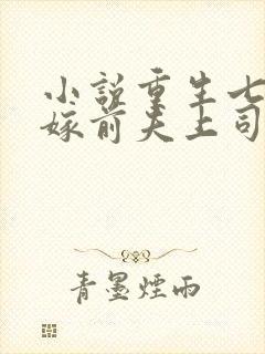 小说重生七零改嫁前夫上司