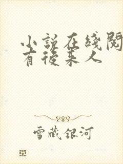 小说在线阅读还有后来人